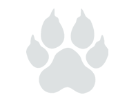 Paw Claw Sticker